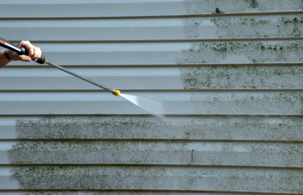 Best Local Pressure Washing Services  in Pell City, AL