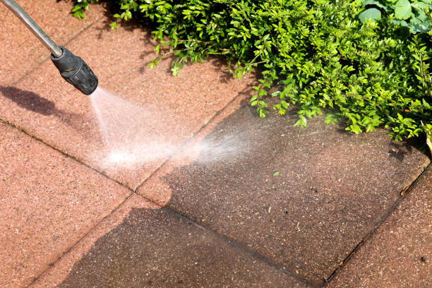 Best Best Pressure Washing Companies  in Pell City, AL